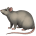 :rat: :rat: