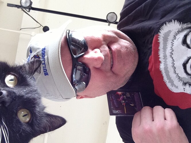 W Bonus - Feline Photobomb.jpg