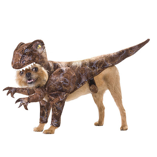 raptor-dog-costume-1.jpg