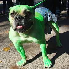 Dog Hulk.jpg