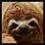 slothflyer